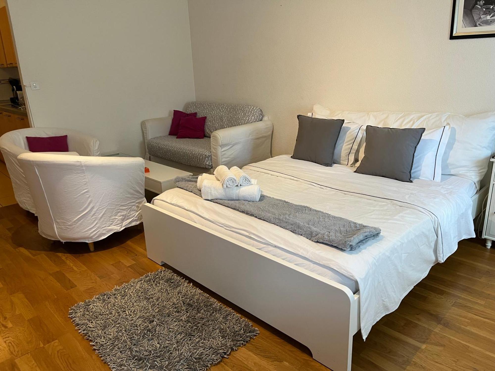 7 Min Walking From Gare Losanna